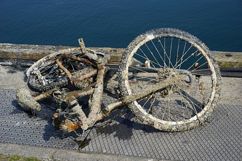 Bike Out Of The Water