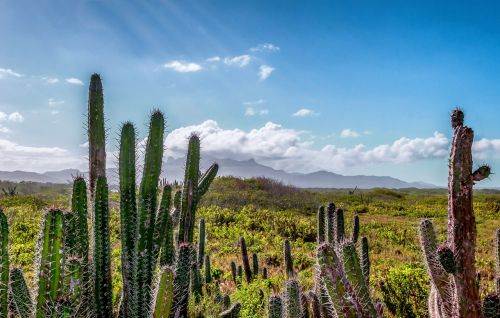 venezuela landscape scenic