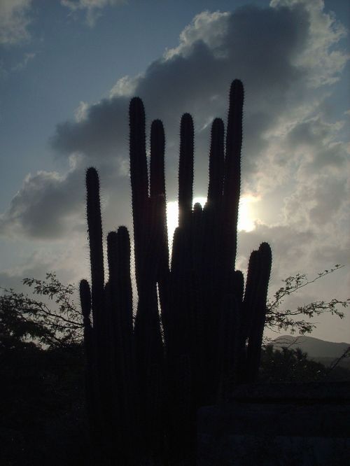 venezuela landscape sunset