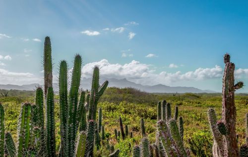 venezuela landscape sky