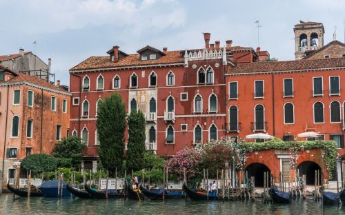 venice italy flowers