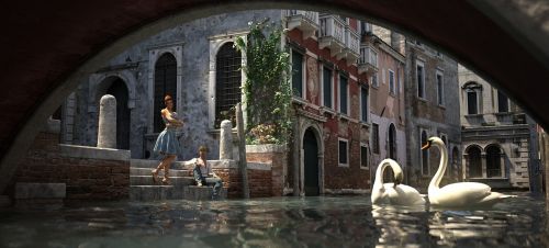 venice swans reflections