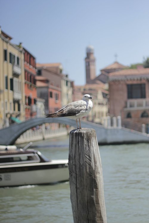 venice  italy  sea