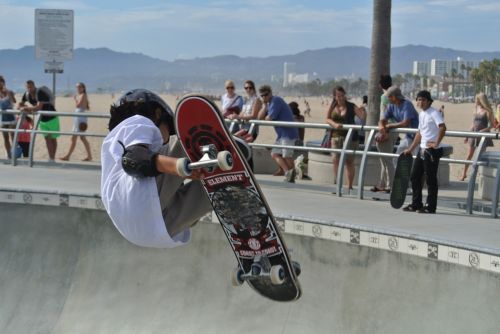 venice beach skater skateboard