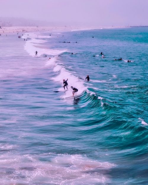 venice beach california surfers