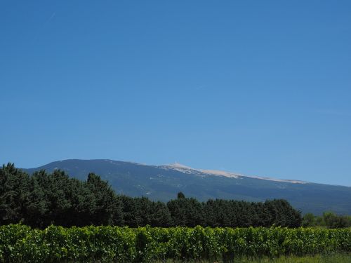 ventoux mountain provence