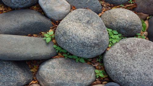 Green And Stone (Green And Stone)