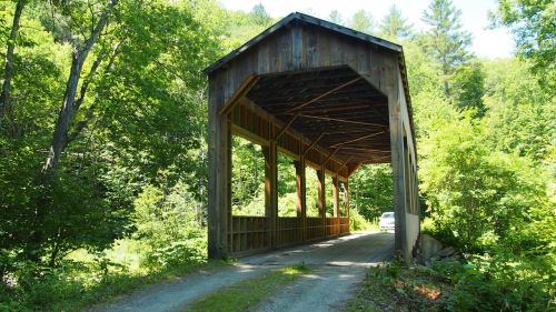 bridge wood forest