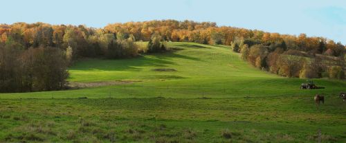 vermont meadow fall