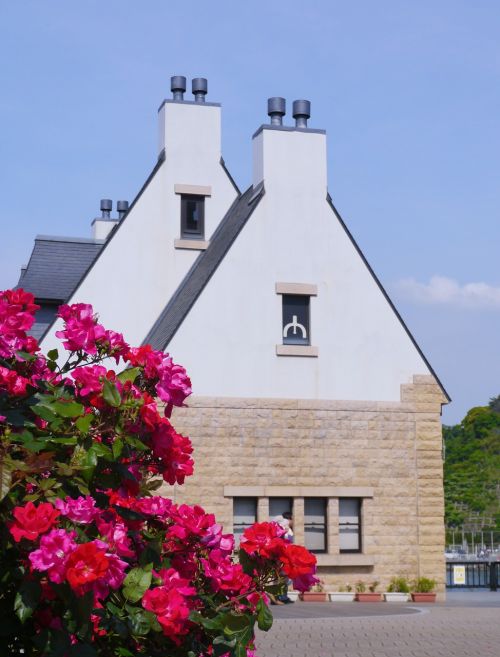 verny memorial france rose