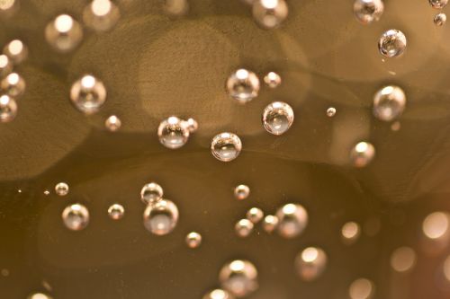 vesicle water air bubbles