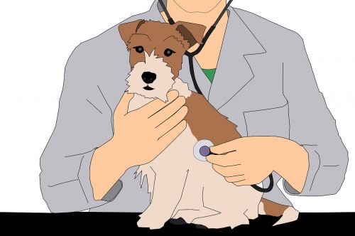 vet animal illustration