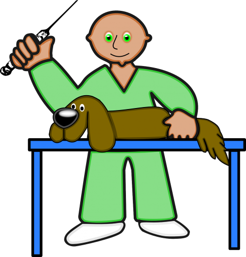 veterinary dog medicine