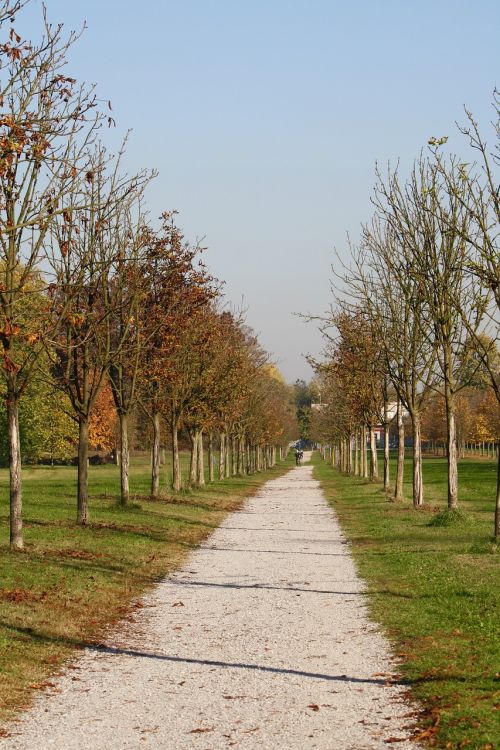 viale autumn park