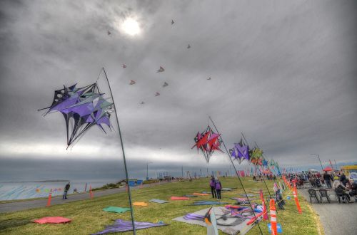 victoria kite festival