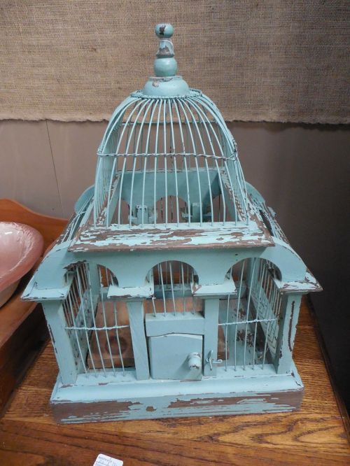 victorian birdcage bird