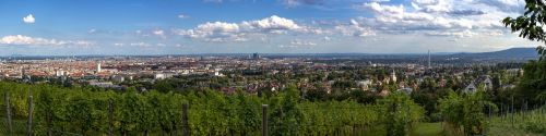 vienna panorama vineyard