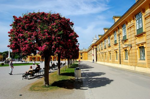 vienna schönbrunn blue sky