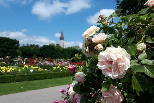 vienna  park  people's garden