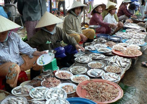 viet nam market fish