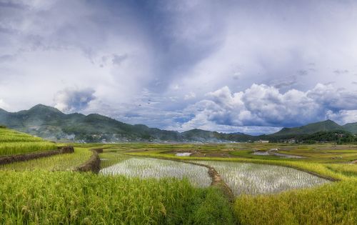 vietnam dienbien landscape