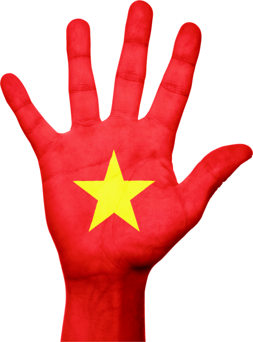 vietnam flag hand