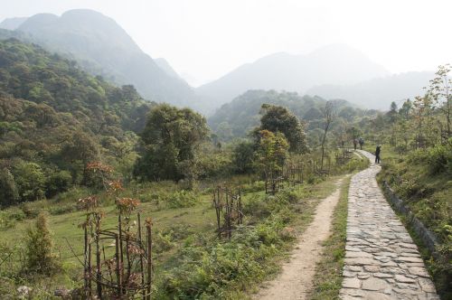 vietnam trail nature