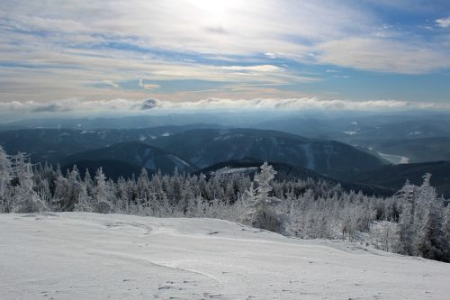 winter snow frost