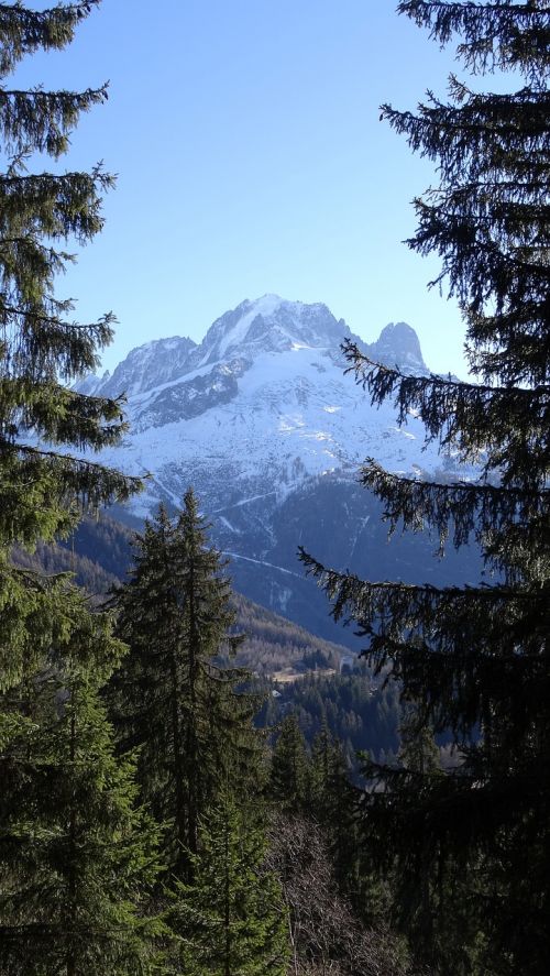 view mountain forest