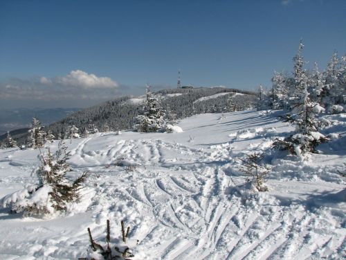 view skis snow