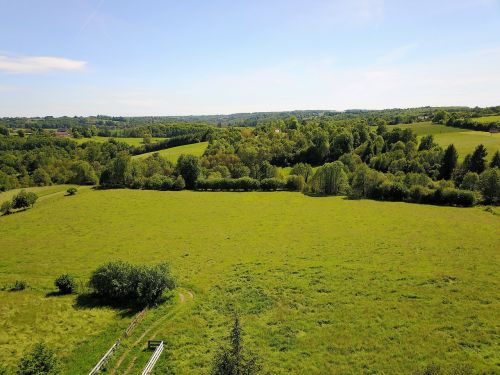 view landscape forest