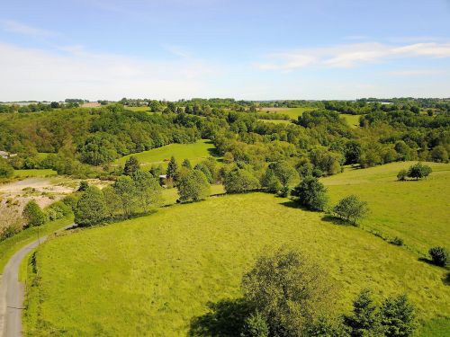 view landscape forest