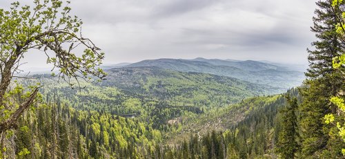 view  bavarian forest  bavaria