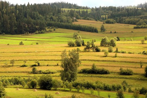 view  landscape  panorama