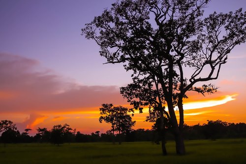 view  silhouette  evening