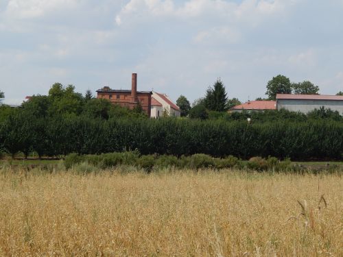 view architecture buildings