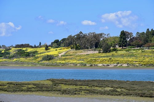 view  landscape  nature