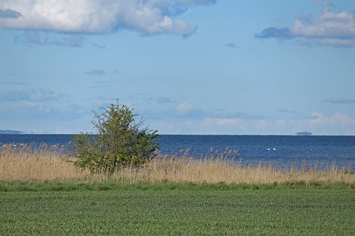 view  bodden  baltic sea