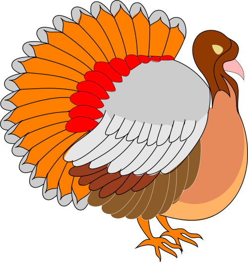 view thanksgiving turkey