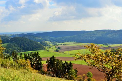 view autumn landscape