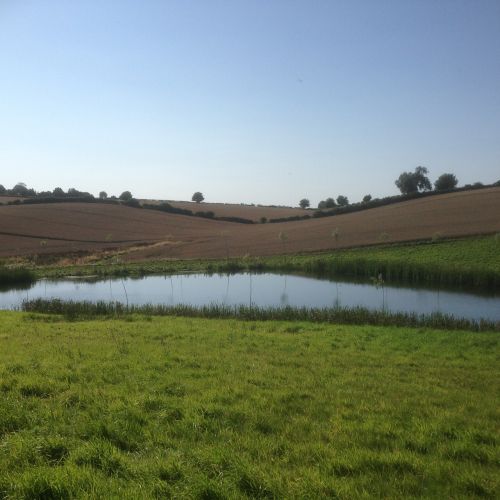 view lake country side