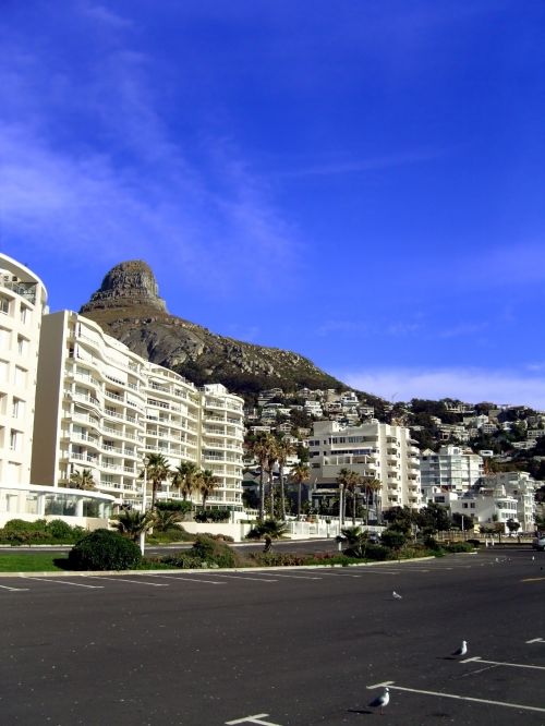 View Of The Lion&#039;s Head
