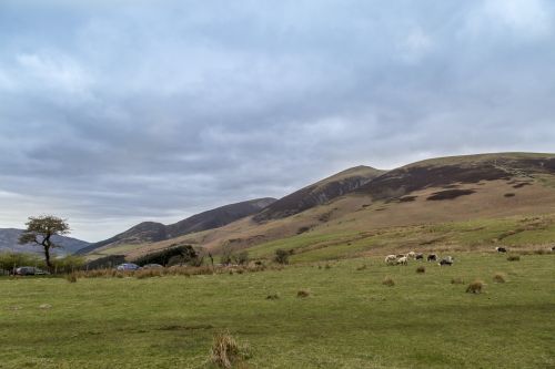 View To And From Skiddaw