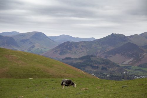 View To And From Skiddaw