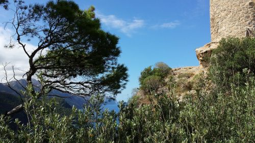 view to the sea landscape mallorca