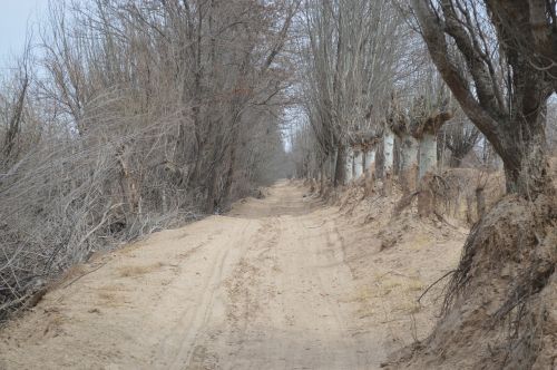 views landscape winter