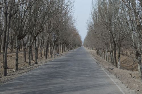 views landscape winter