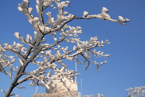 views huangshan snow