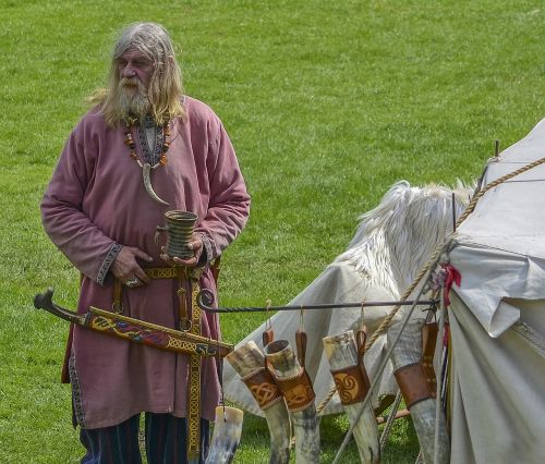 viking medieval show