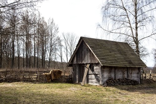 vikingagård  story  sweden